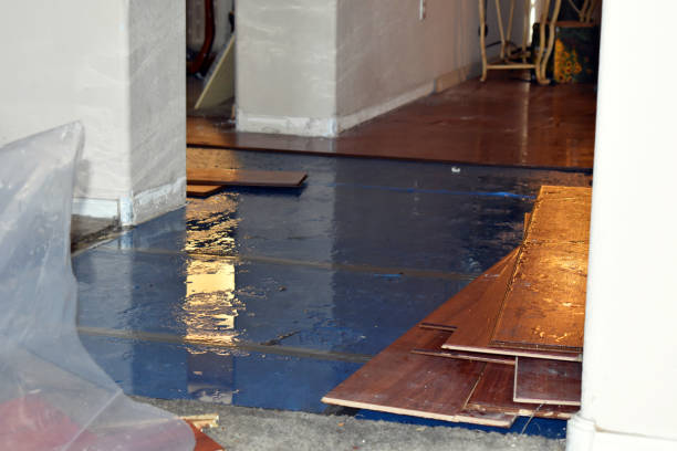 Professional Water Damage technician working in Belmont, MA