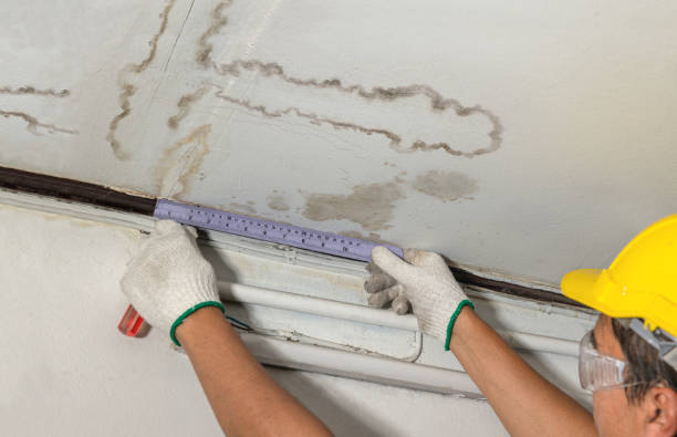Reliable Water Damage contractor in Belmont, MA by Water Damage Irwin